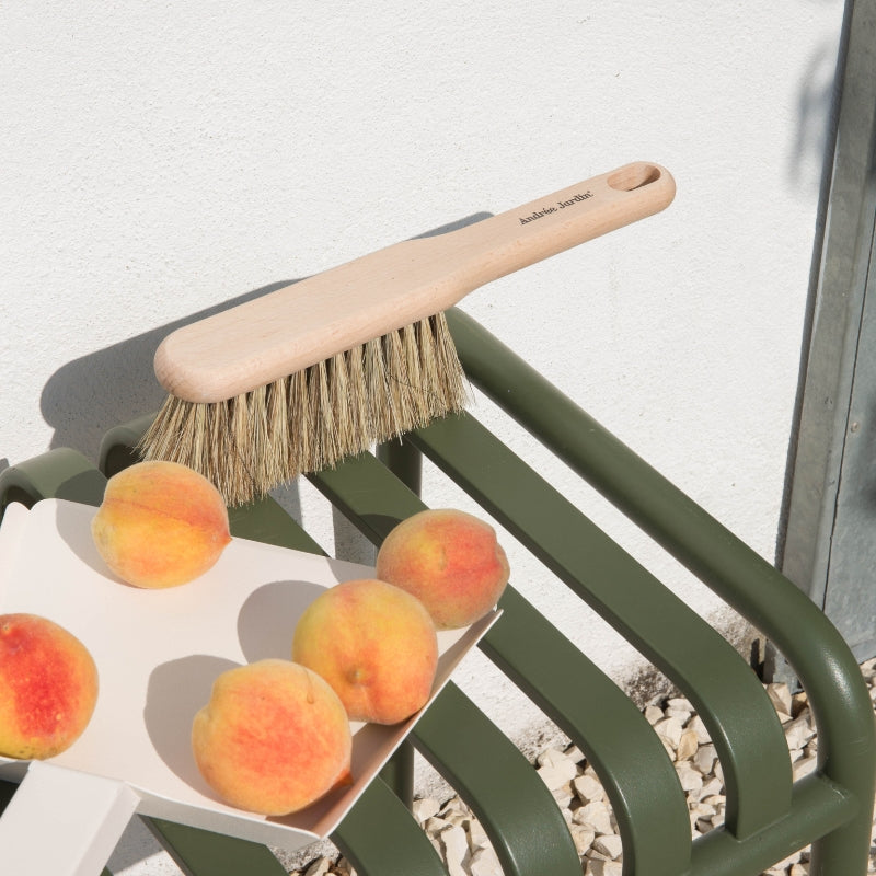 Dustpan and Brush Set - Outdoor