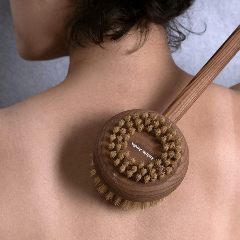 Long handled back brush