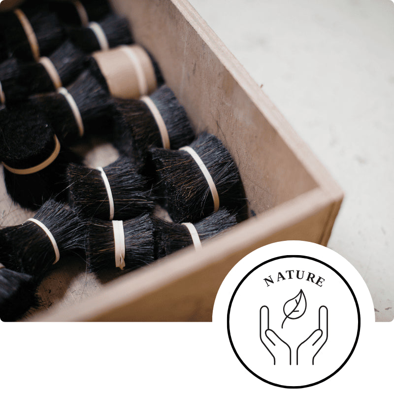 fibres-brosse-naturelles