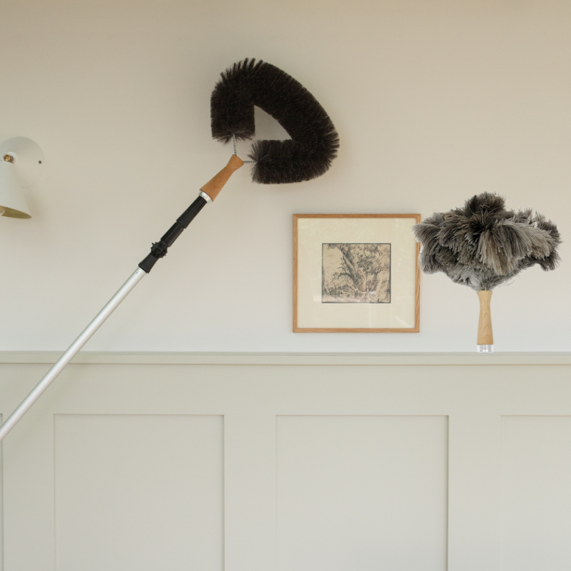 Telescopic duster