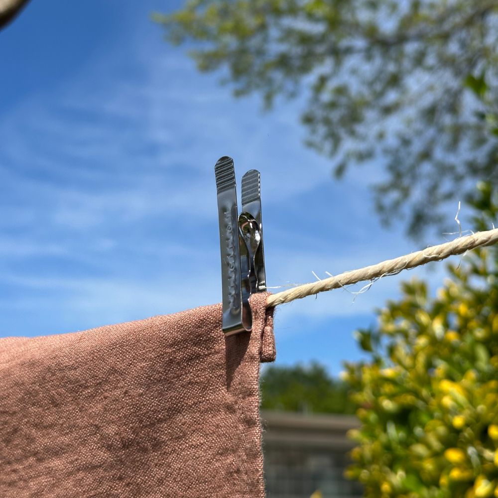 Stainless Steel Clothes Pegs