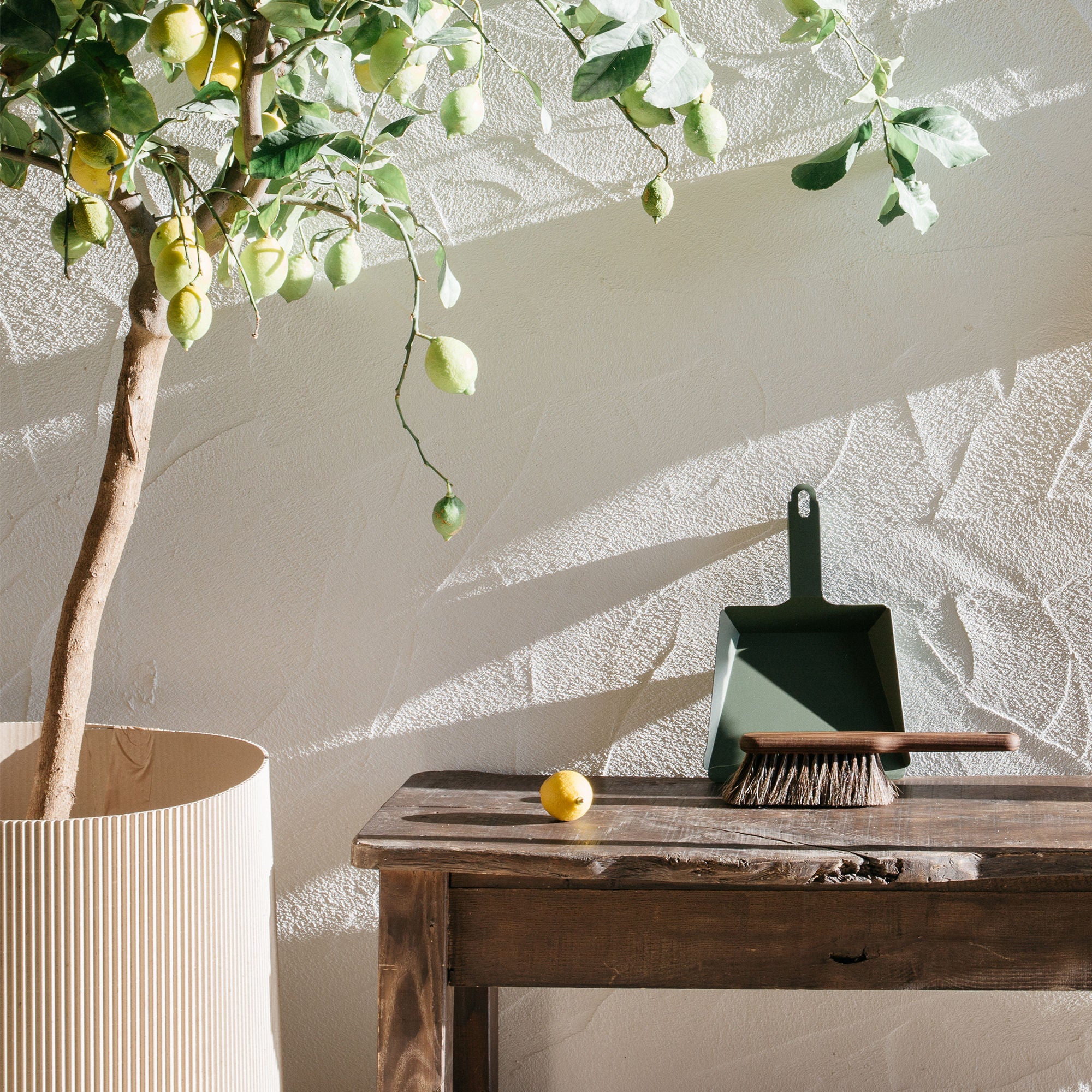 Craft Kehrschaufel und Besenkasten aus Asche