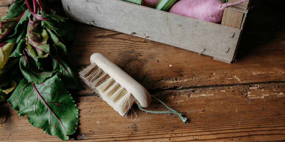 brosse-legumes-cagette-legumes-bio