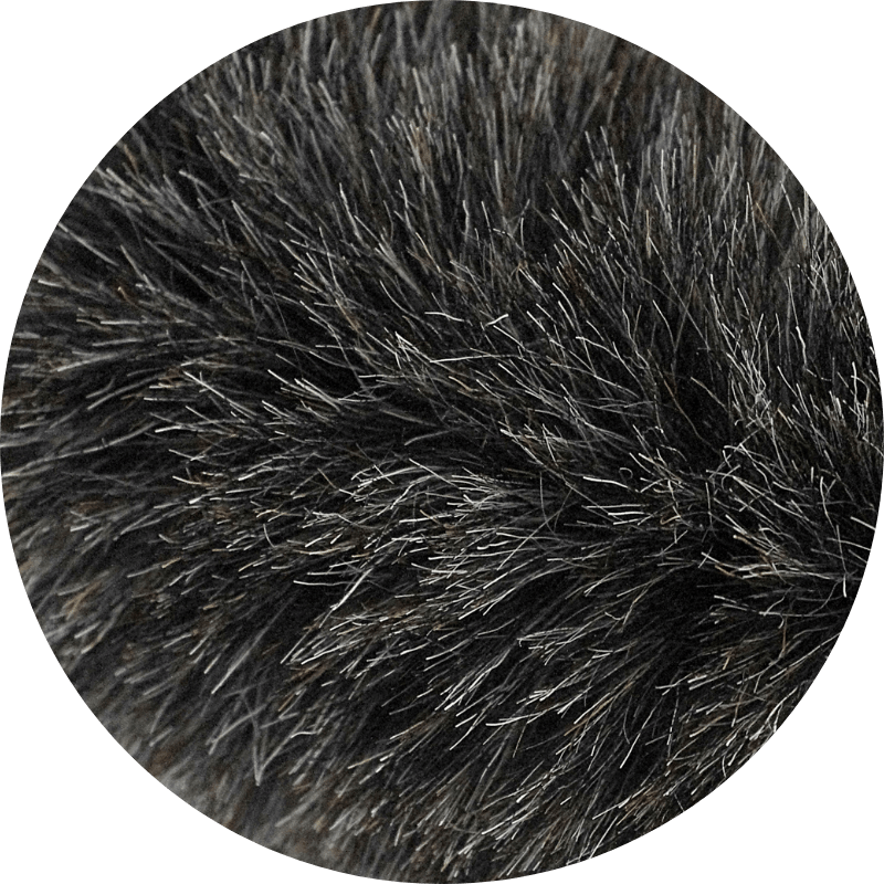 focus-fibres-chevres