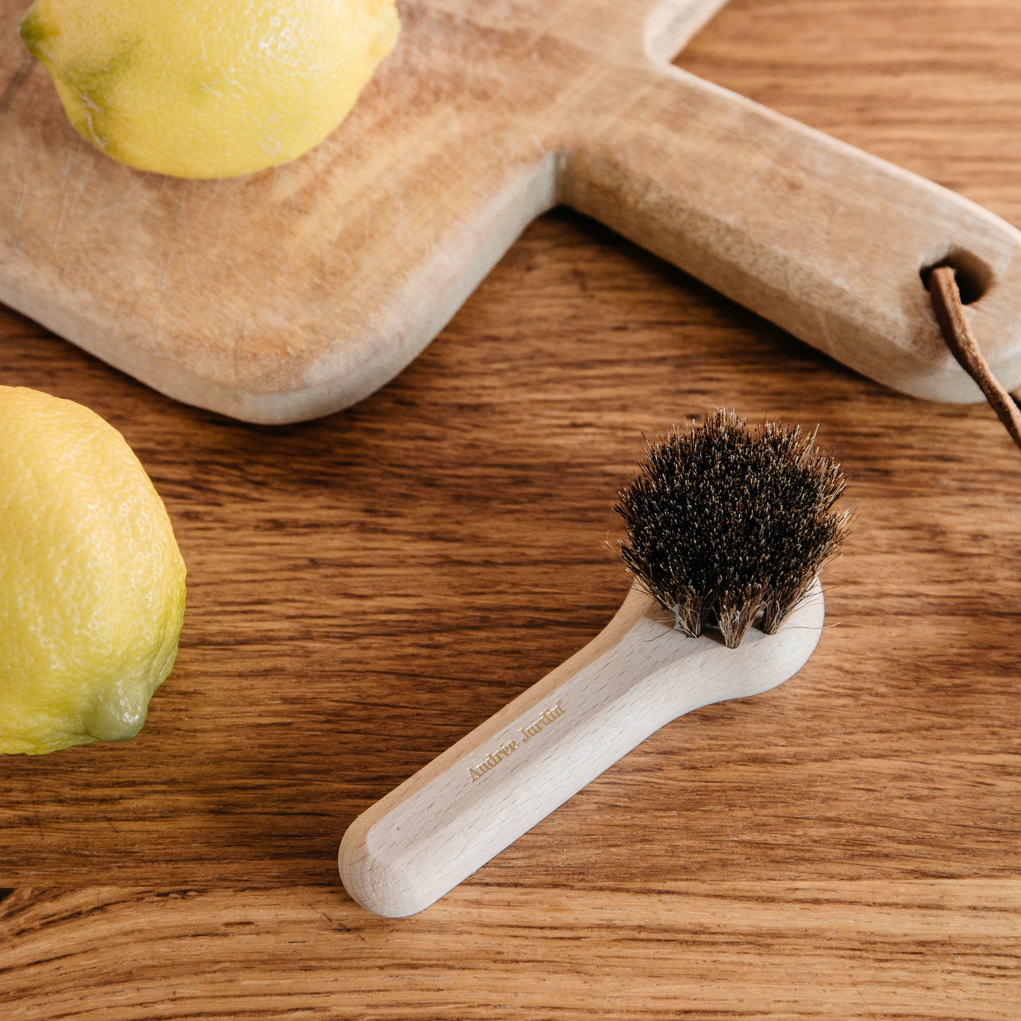 Brosse champignons et fruits | Andrée Jardin