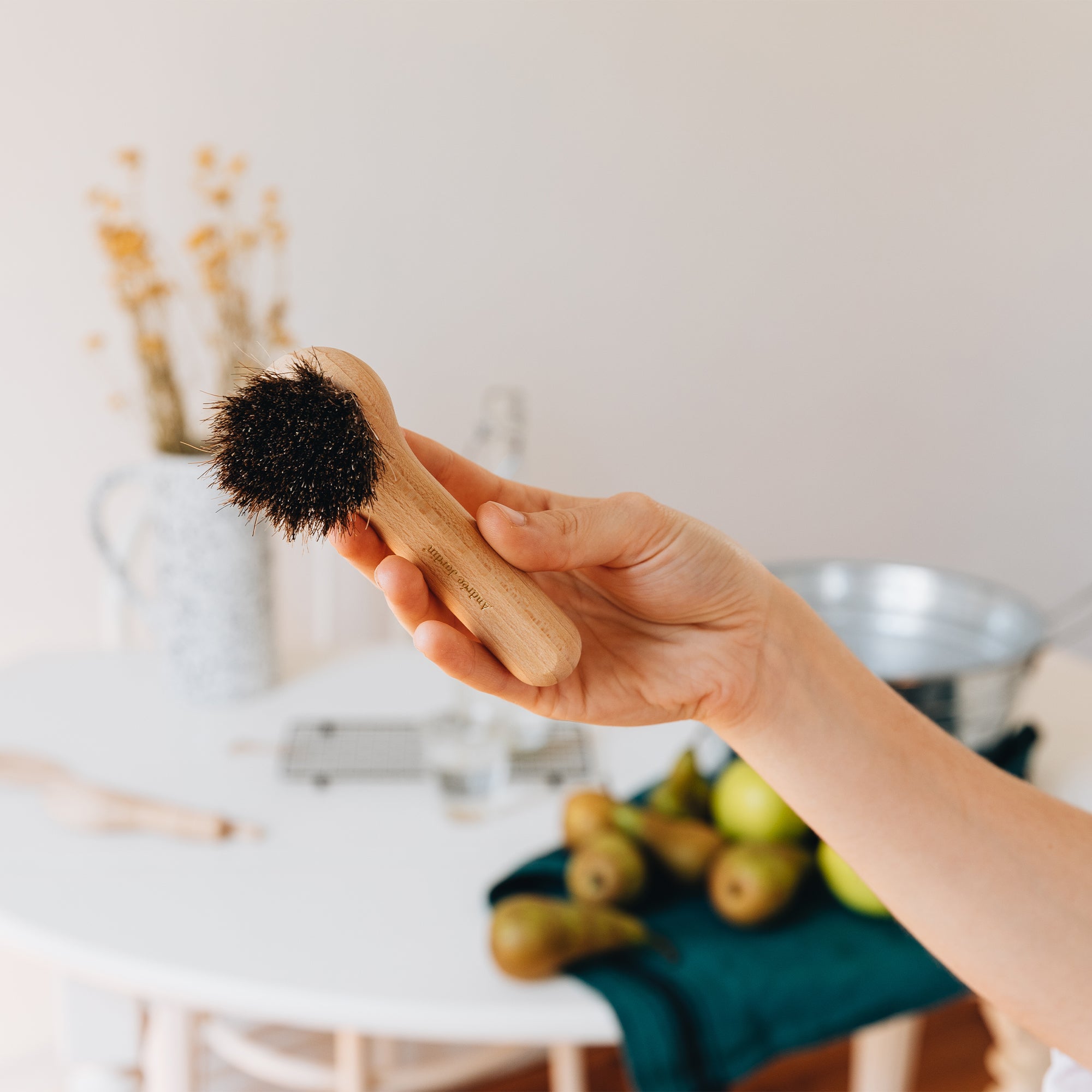 Brosse champignons et fruits | Andrée Jardin